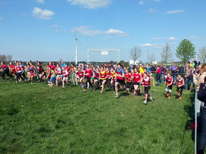 米兰体育app下载-全国青少年劳动体育竞赛各项赛事激烈进行，全国青少年劳动体育竞赛各项赛事激烈进行的原因